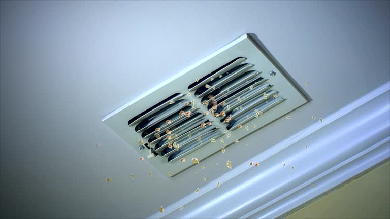 Best Ventilation Cleaning Services  in Maryvle, IL