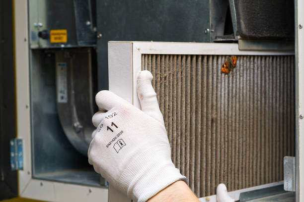 Best Professional Duct Cleaning Services  in Maryvle, IL