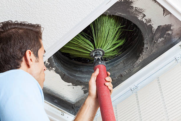 Best Affordable Duct Cleaning Services  in Maryvle, IL